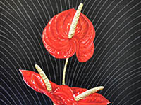 Anthurium